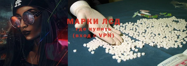 стаф Алексин