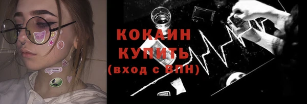 стаф Алексин