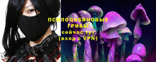 стаф Алексин