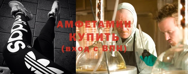 стаф Алексин