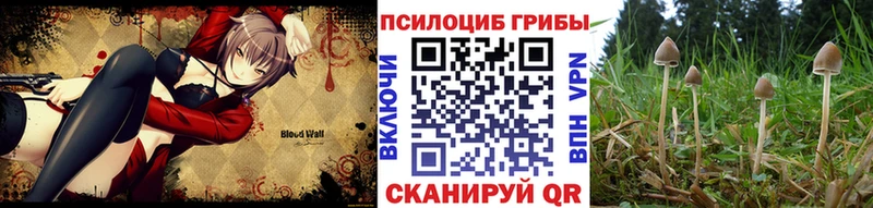 Галлюциногенные грибы MAGIC MUSHROOMS  как найти   OMG зеркало  Невьянск 